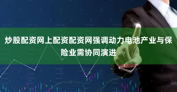炒股配资网上配资配资网强调动力电池产业与保险业需协同演进