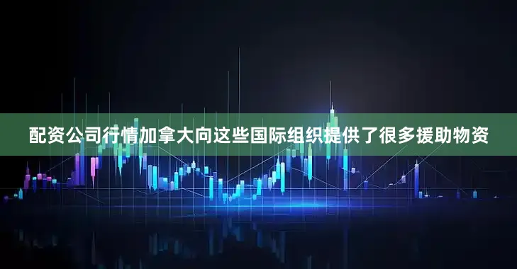 配资公司行情加拿大向这些国际组织提供了很多援助物资