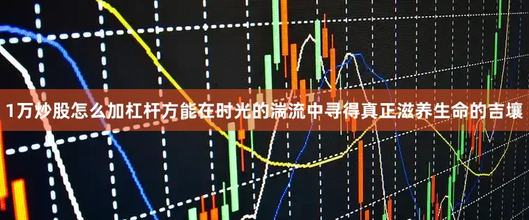 1万炒股怎么加杠杆方能在时光的湍流中寻得真正滋养生命的吉壤