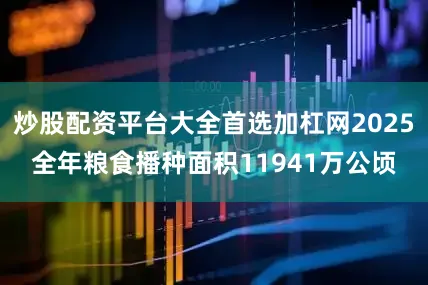炒股配资平台大全首选加杠网2025全年粮食播种面积11941万公顷