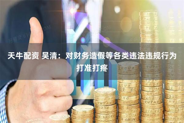 天牛配资 吴清：对财务造假等各类违法违规行为打准打疼