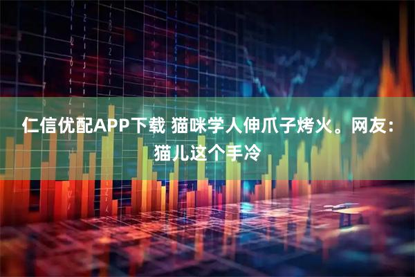 仁信优配APP下载 猫咪学人伸爪子烤火。网友：猫儿这个手冷