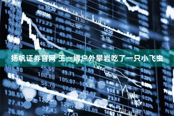 扬帆证券官网 王一博户外攀岩吃了一只小飞虫