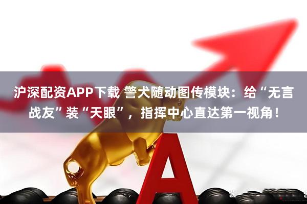 沪深配资APP下载 警犬随动图传模块：给“无言战友”装“天眼”，指挥中心直达第一视角！